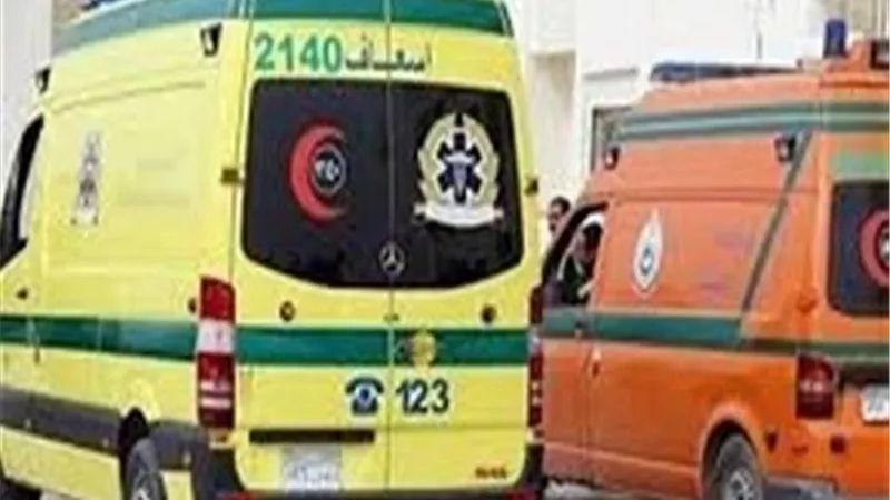 مصرع مندوب مبيعات واصابة سائق في انقلاب سيارة ملاكي بالدقهلية