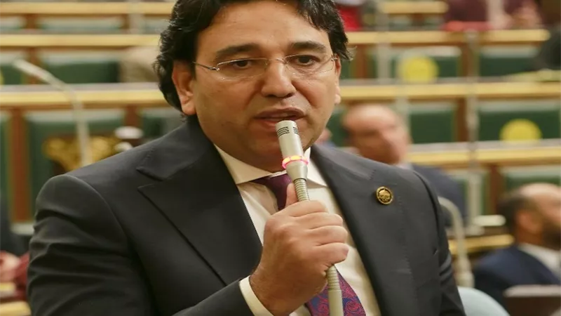 النائب أيمن محسب يطالب إعادة النظر فى مواد الاستثمار بقانون الرياضة