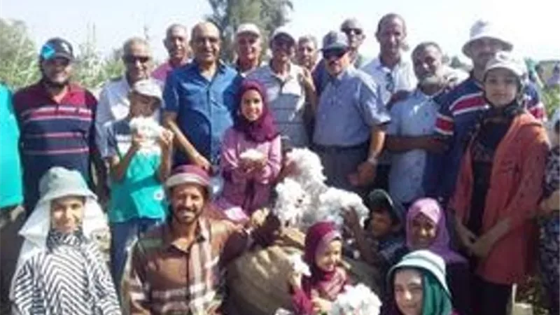 افتتاح موسم جني القطن بالقنطرة غرب فى الإسماعيلية..صور