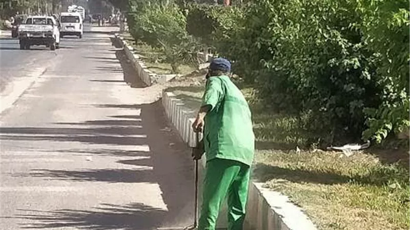حملات مكثفة لنظافة وتجميل مدن الشرقية فى عيدها القومى.. بالصور