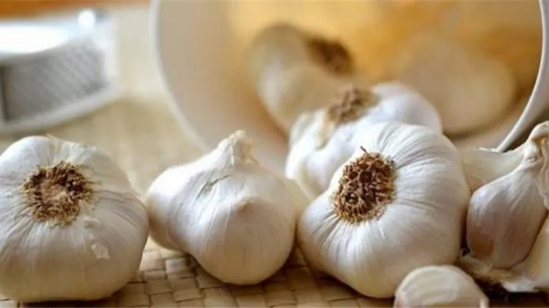 فوائد الثوم لشرايين القلب والأوعية الدموية