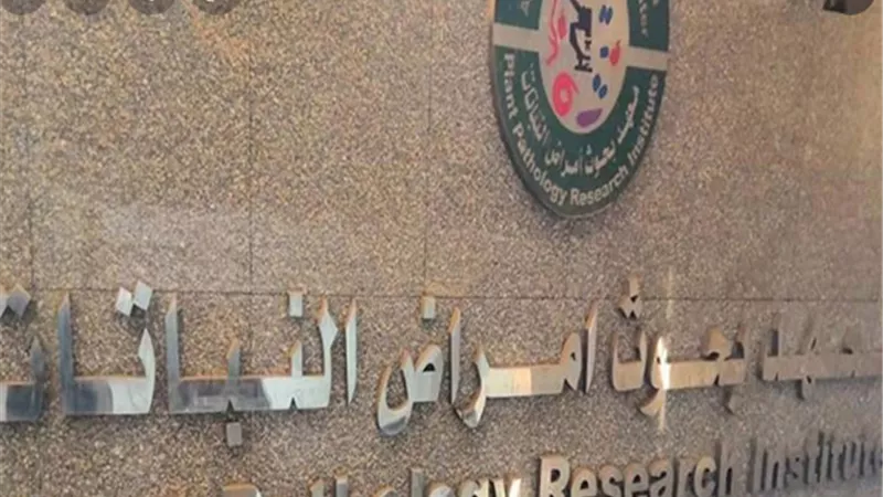 الزراعة: برنامج تدريبي حول اهم الأمراض التي تصيب المحاصيل الحقلية والبستانية وطرق مكافحتها