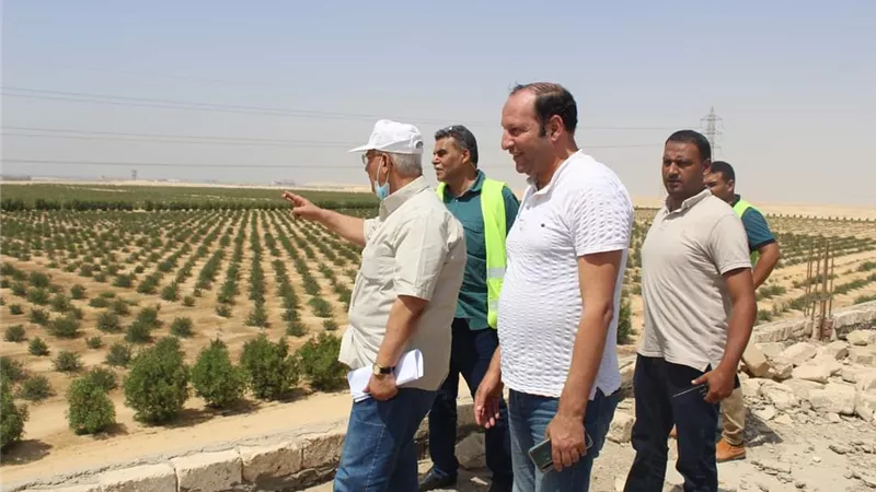 زيادةالقدره الاستعابيه للغابة الشجرية ببياض العرب