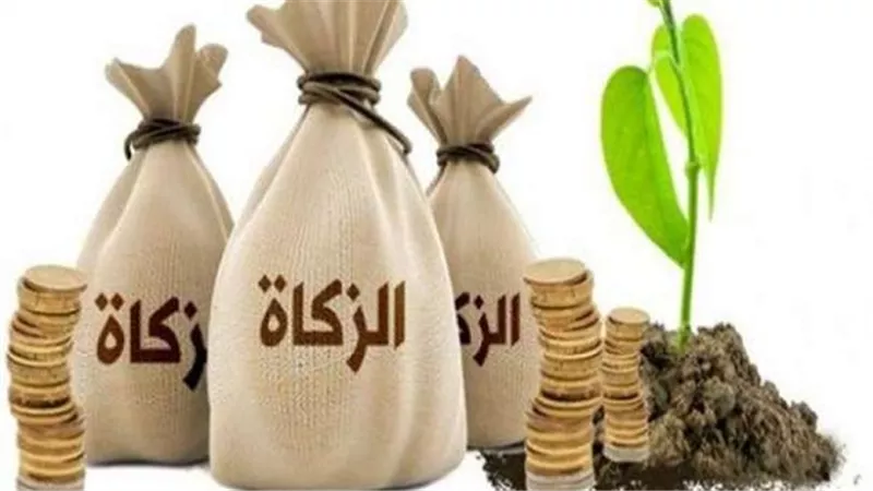 هل على اموال القاصر البالغة النصاب والموجودة بالمجلس الحسبى زكاة ؟...الافتاء تجيب