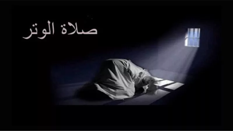 بالنسبة لصلاة الوتر هل هى ركعة واحدة ام عدة ركعات فردية؟....الافتاء تجيب