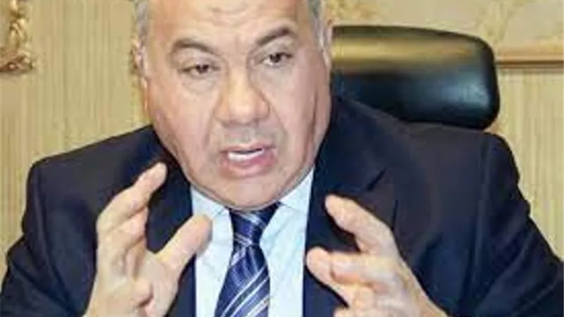 شعبة المستوردين تعلن الموعد النهائي للتسجيل بمنظومة التسجيل المسبق للشحنات.. فيديو