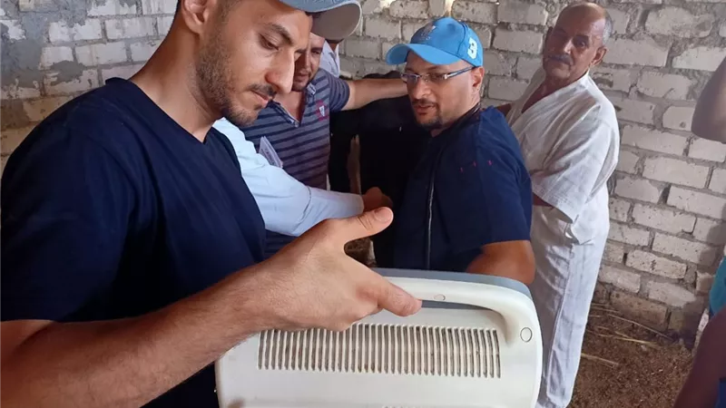 الزراعة: فحص وعلاج 3187 حيوان في قافلة بيطرية بمطروح
