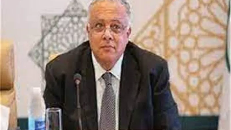 مندوب مصر بالامم المتحدة: اطلاق إستراتيجية حقوق الإنسان نقلة نوعية
