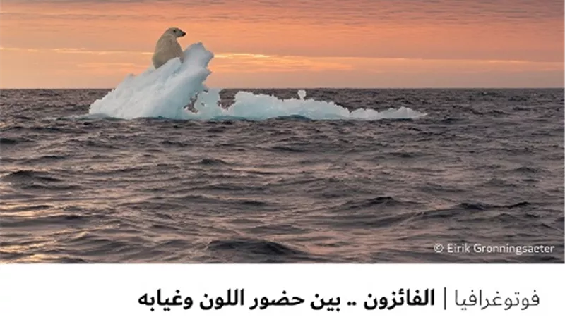 الفائزون .. بين حضور اللون وغيابه