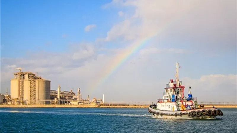 ٢٥ سفينة و ٣٨٠٣ شاحنة على أرصفة ميناء دمياط