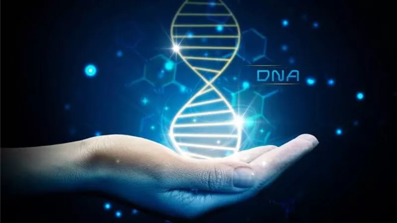 DNA يجمع أماً بإبنها بعد 33 عاما من الفراق