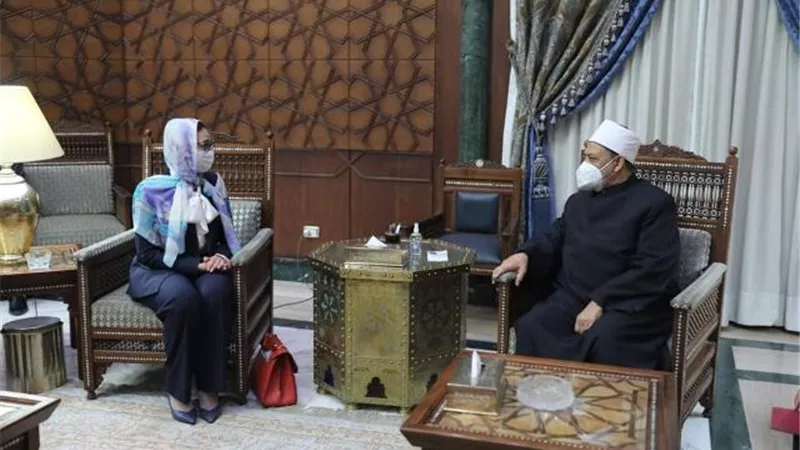 شيخ الأزهر: الأرض تسع الجميع إذا سادت فيها القيم الدينية والإنسانية السليمة