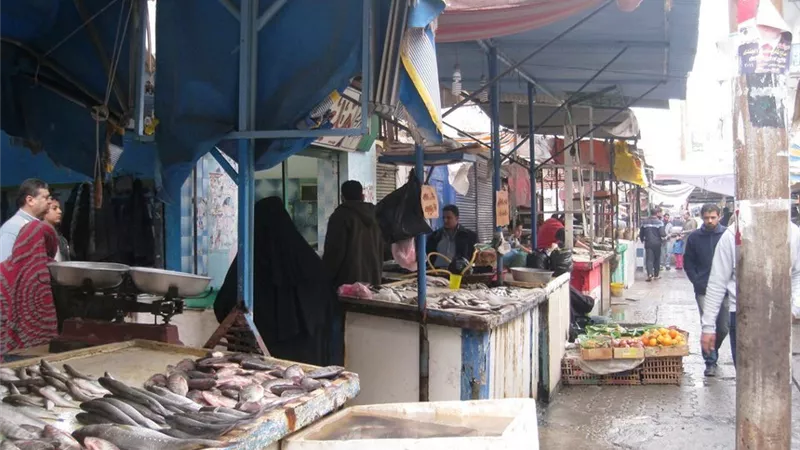 محافظ الاسماعيلية: مهلة حتي نهاية الشهر والنقل اجبارى لبحيرة الصيادين