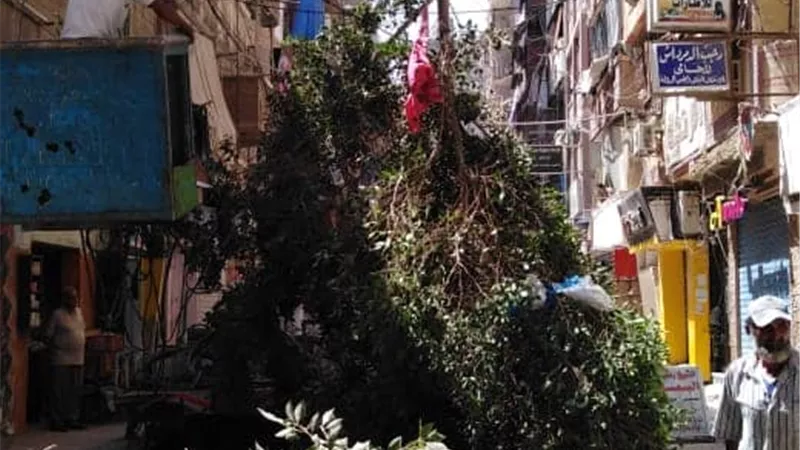 حى المنتزه ثان يرتقي بالمظهر العام