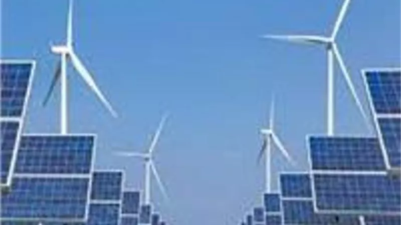 الطاقة المتجددة نموذج للهيئات الحكومية الناجحة
