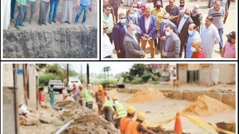 أهالي مركز مطوبس.. يجنون ثمار 