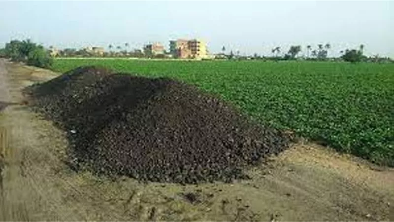 سماد البودريت المحظور نشر الروائح الكريهة ودمر فراولة الإسماعيلية