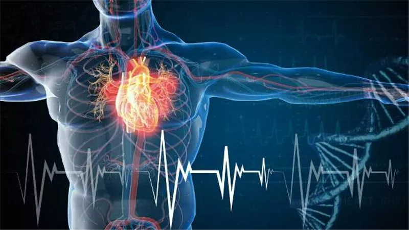 إنقاص الوزن أم تقوية العضلات.. أيهما أكثر صحة للقلب؟ باحثون يجيبون