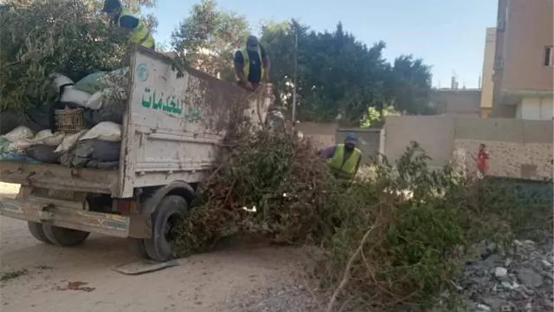 رفع المخلفات والصيانة الدورية لاعمدة الإنارة بشوارع القصير