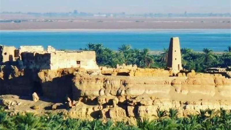 رئيس مجلس ادارة جمعية ابناء سيوة للخدمات السياحية نستبشر بالموسم السياحى المقبل