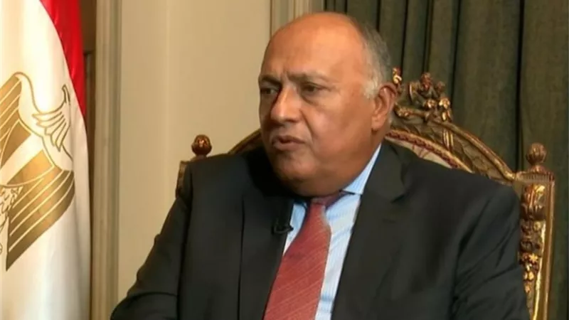 وزير الخارجية يُجري اتصالًا هاتفيًا بنظيره الإسرائيلى ويؤكد ضرورة إحياء مسار تفاوضى مع الفلسطينين