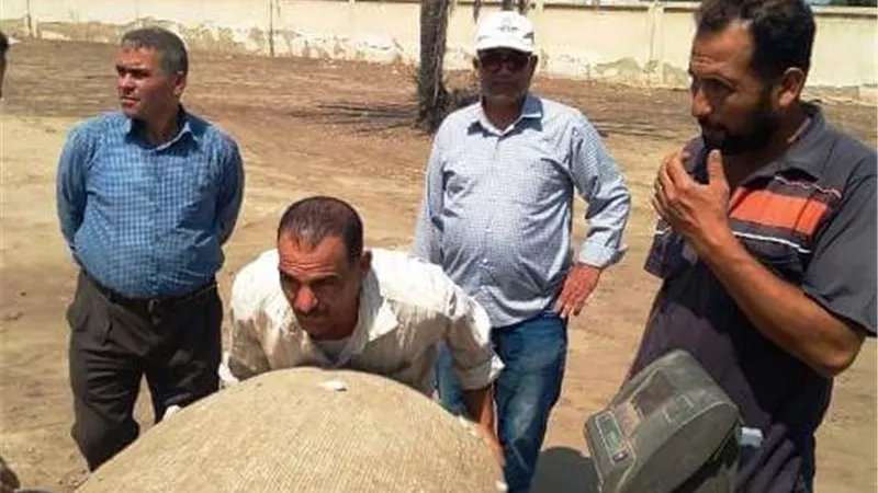 بوابة الجمهورية