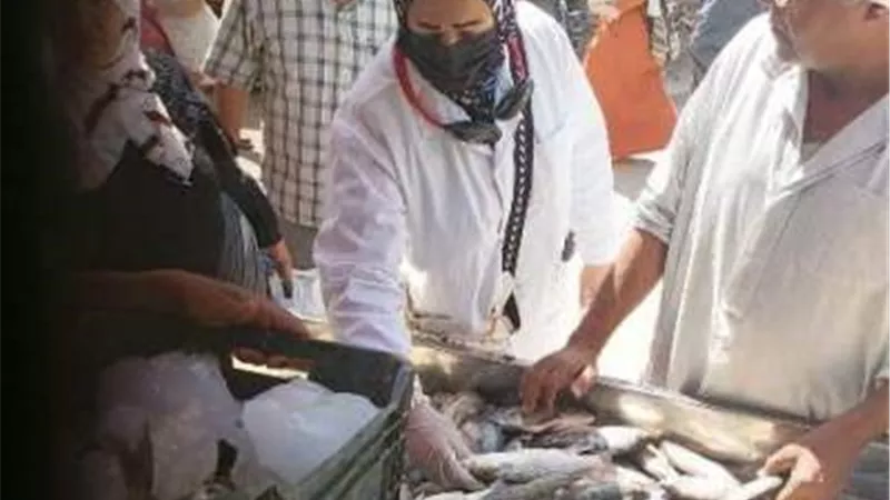ضبط لحوم مجهولة المصدر فى ٤ محال جزارة بالشرقية