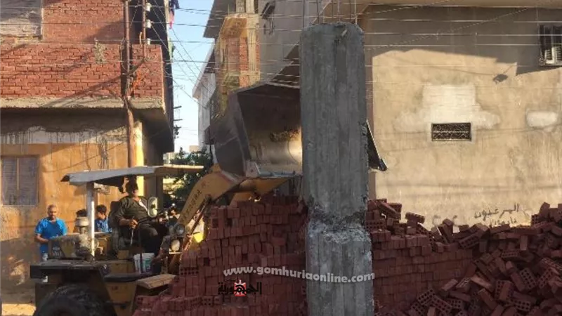 إزالة ١٢٤حالة تعدي على مساحة ٢٩٥ فدان زراعة و١٠ آلاف مباني بالشرقية