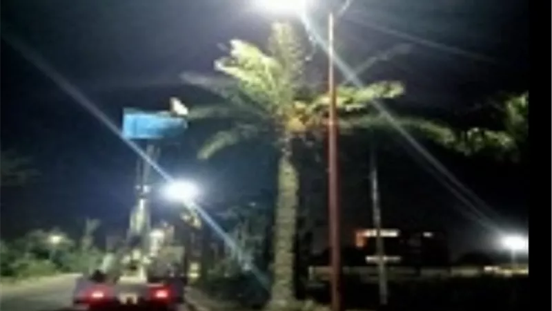 الأهتمام بالمسطحات الخضراء داخل المدارس ورفع كفاءة الأضاءة بالأسكندرية