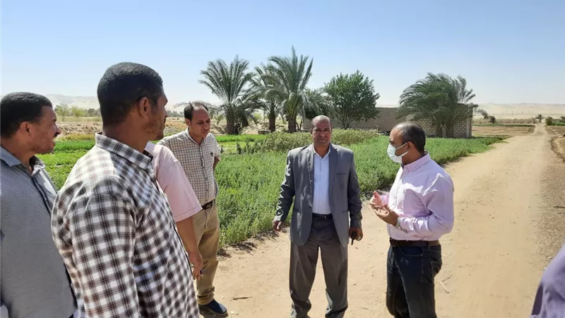 محافظ أسيوط: تكثيف أعمال لجان تقنين أملاك الدولة والسكرتير المساعد يتابع لجنة تسعير الأراضي بمركز أسيوط