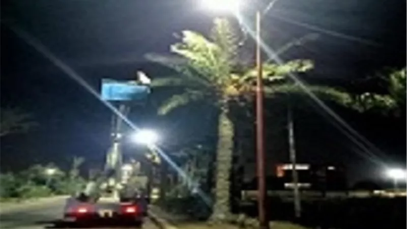 الأهتمام بالمسطحات الخضراء داخل المدارس ورفع كفاءة الأضاءة بالاسكندرية