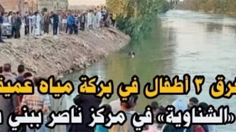 غرق 3 أطفال في بركة مياه بقرية الشناوية ببني سويف