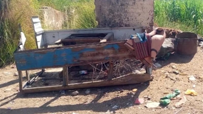 حملة نظافة وتقليم أشجار بأرمنت جنوب غرب الأقصر