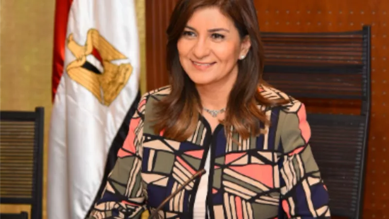 الهجرة: جمعية عمومية لشركات التأمين المكلفة بإصدار وثيقة تأمينية للمصريين بالخارج
