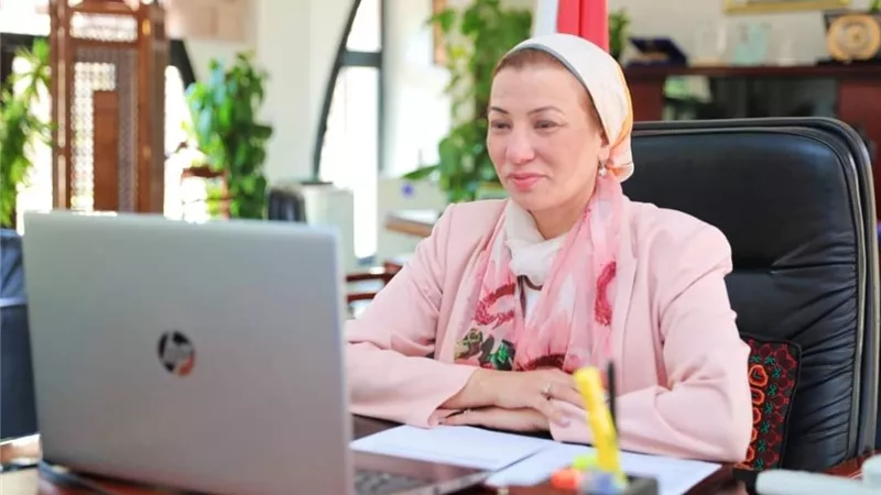 وزيرة البيئة تشارك في قمة تأثير التنمية المستدامة ٢٠٢١