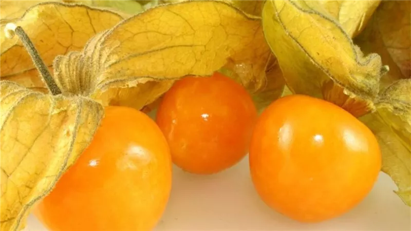 4اطعمة لتنظيف الجسم من السموم