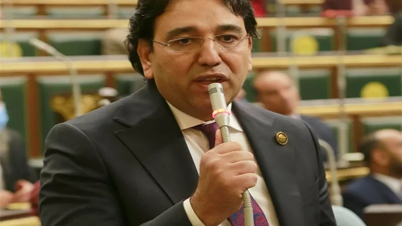 النائب أيمن محسب يطالب سرعة ميكنة المنظومة الضريبية وتفعيل الشباك الواحد