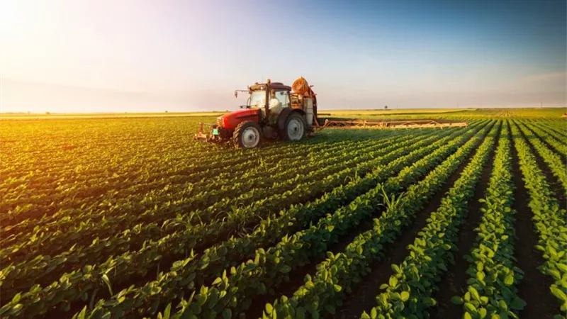 الزراعة: مشروعات الاستصلاح بمصر لم تحدث خلال 60 عاما .. فيديو