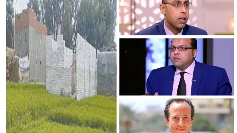 أساتذة وخبراء الاقتصاد .. السيسى يبنى جمهورية جديدة