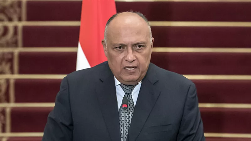 اليوم .. شكري يعقد جلسة مباحثات مع مستشار الأمن القومي الأمريكي