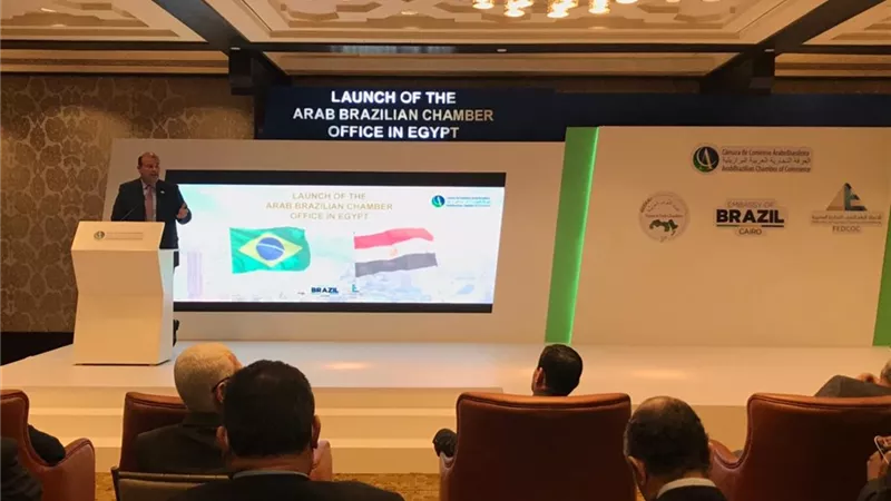 خالد حنفي: مناقاشات مع البرازيل لإنشاء خط ربط تجاري لوجيستي مع مصر