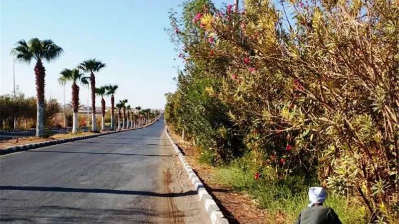 إزالة للإشغالات والتراكمات وتكثيف أعمال النظافة العامة بنطاق مدن أسوان