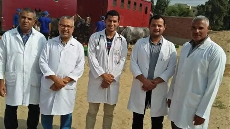 جامعة الزقازيق تشارك بقافلة بيطرية فى مهرجان الخيول العربية بالشرقية
