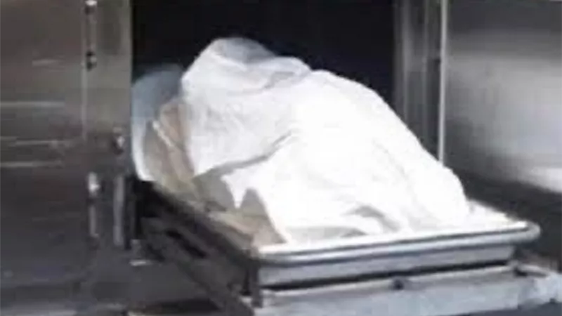 مصرع فلاح سقط من أعلي عربة قش ارز بالدقهلية