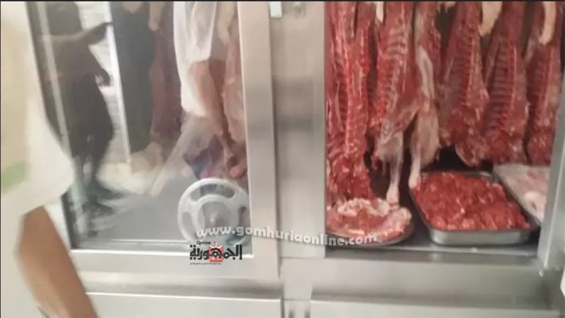 تموين الشرقية يضبط لحوم ودواجن فاسدة فى حملات مفاجئة على محلات ومطاعم العاشر من رمضان
