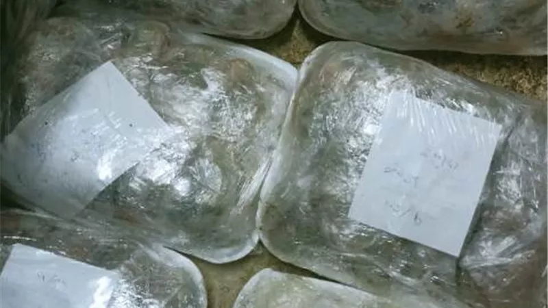 ضبط أغذية فاسدة في ٥ مطاعم كبرى بالإسماعيلية..صور