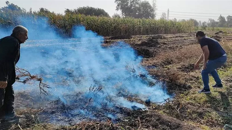 جهود كبيرة لوزارة البيئة للتصدي لظاهرة السحابة السوداء بمحافظات الدلتا-صور