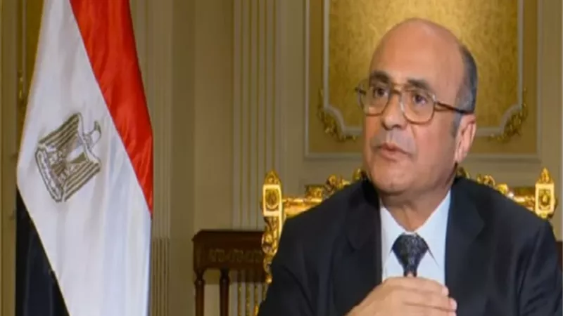 وزير العدل: تأكيد السيسي على استقلالية القضاء يتماشى مع استراتيجية حقوق الإنسان