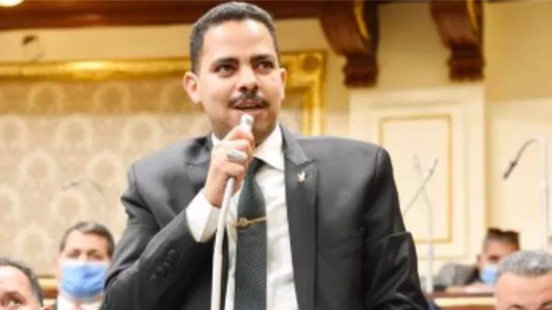 أشرف رشاد ممثلا لحزب مستقبل وطن أمام البرلمان