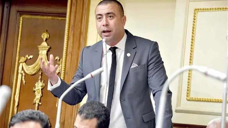 أحمد شلبي ممثلا لحزب حماة الوطن أمام البرلمان